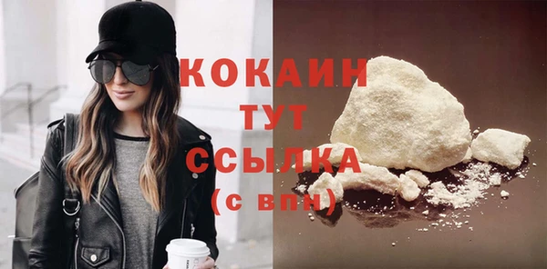индика Балахна