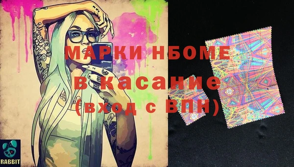 индика Балахна