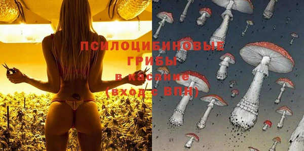 мет Арсеньев
