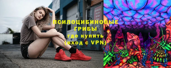 индика Балахна