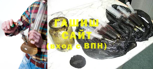 индика Балахна