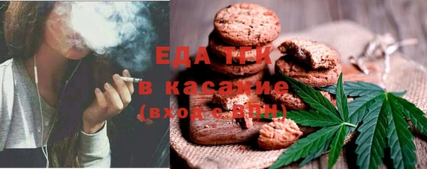 индика Балахна