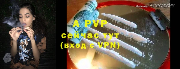 индика Балахна